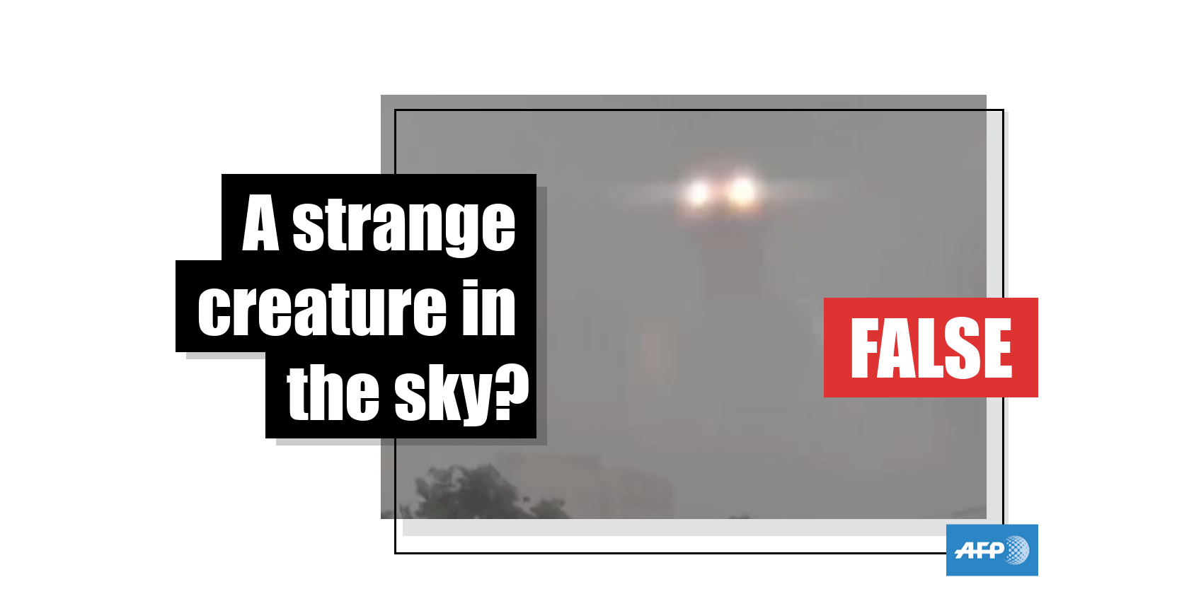 This Video Was Created Using Computer Graphics Software Fact Check This Video Was Created Using Computer Graphics Software Fact Check