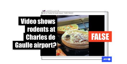 No, this viral video does not show rodents at Charles de Gaulle airport