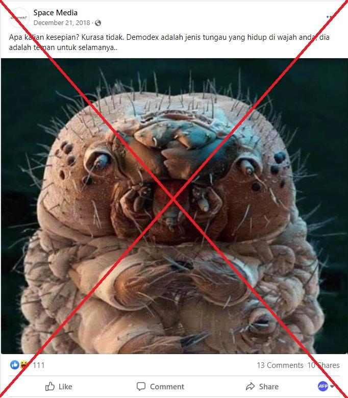 Ứng dụng của SEM