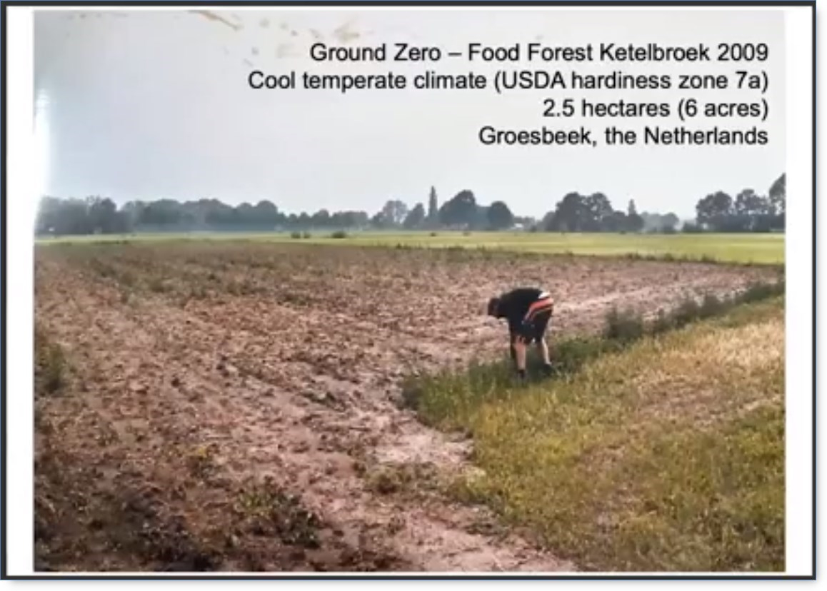Posts exaggerate size of Netherlands 'food forest' which covers six ...