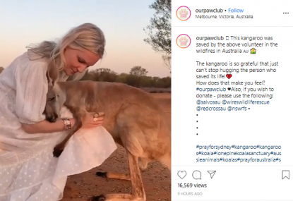 These Videos Actually Show A Kangaroo At A Wildlife Sanctuary In Australia S Northern Territory Which Is Not Affected By Bushfires Fact Check