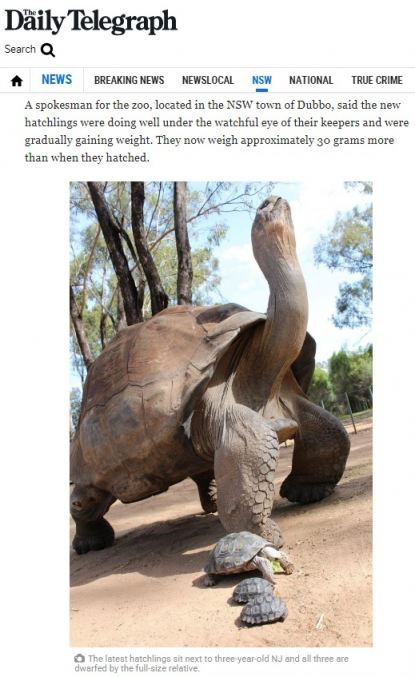 Can a giant tortoise live up to 150 years old