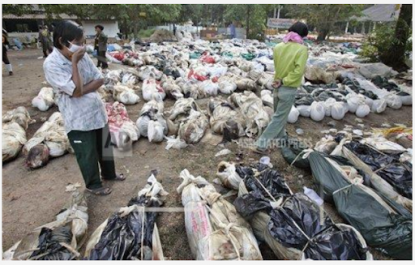 These Were Thai Victims Of The 2004 Tsunami And Not People Killed In Ethiopia S Tigray Conflict Fact Check