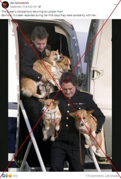 how many corgis does the queen have 2016