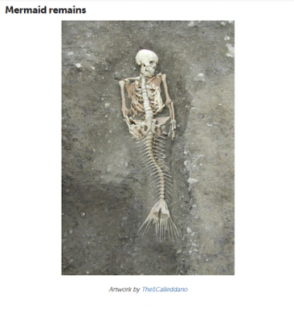 real life mermaid skeleton