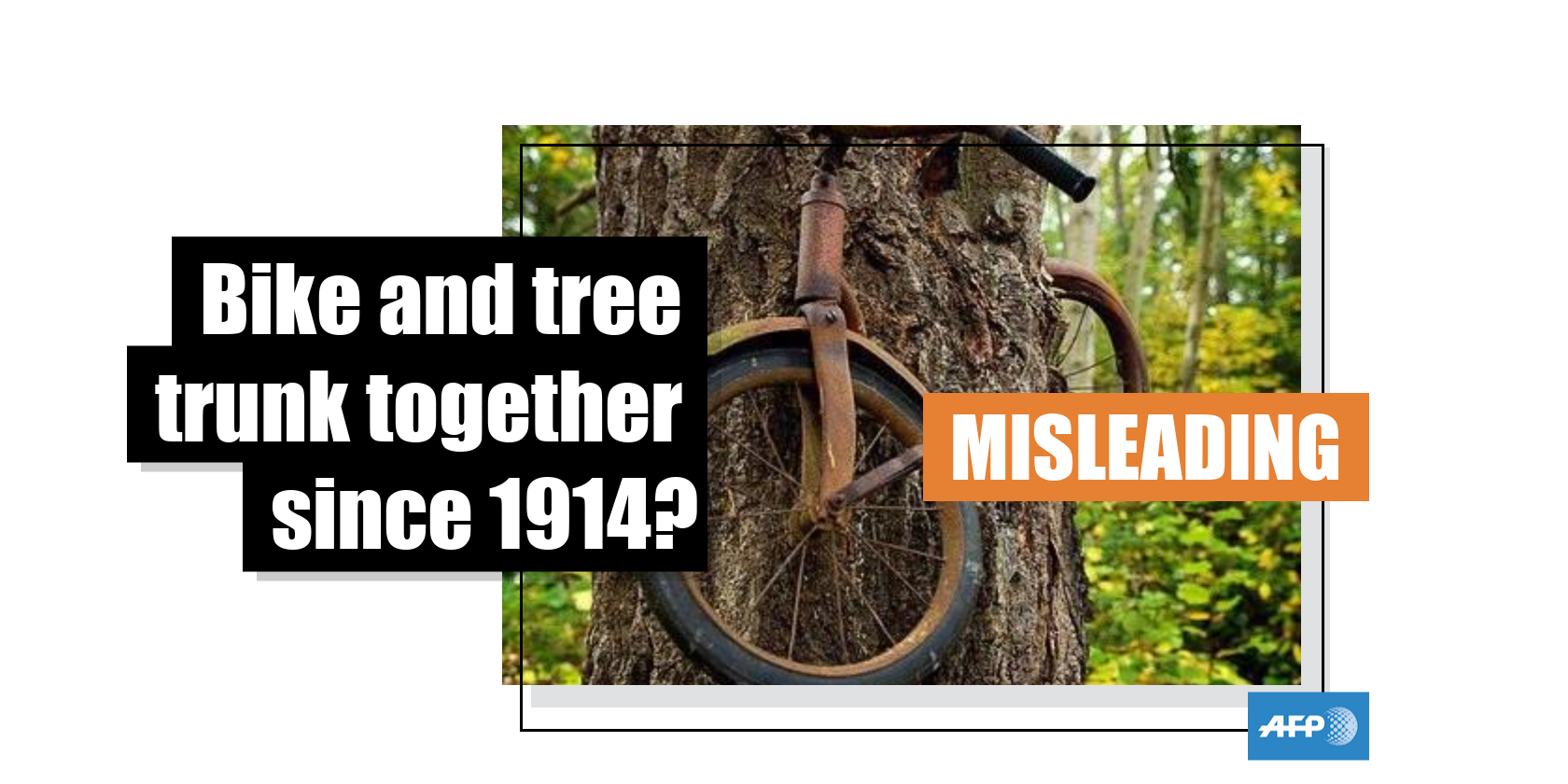 Bicycle in deals a tree