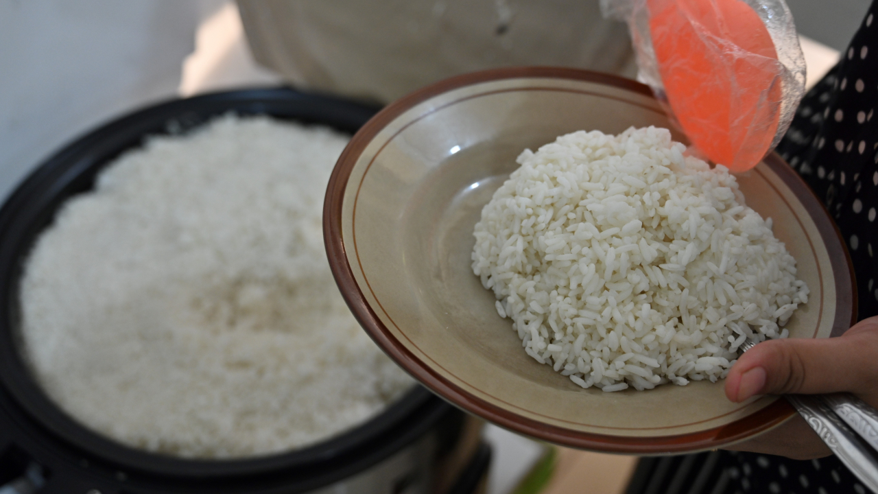 No evidence that reheating rice after cooking it with coconut oil will