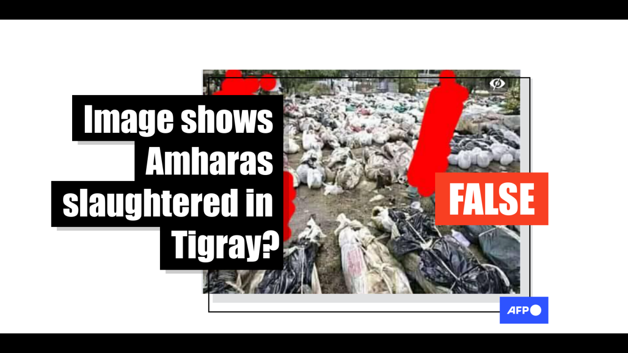 These were Thai victims of the 2004 tsunami and not people killed in