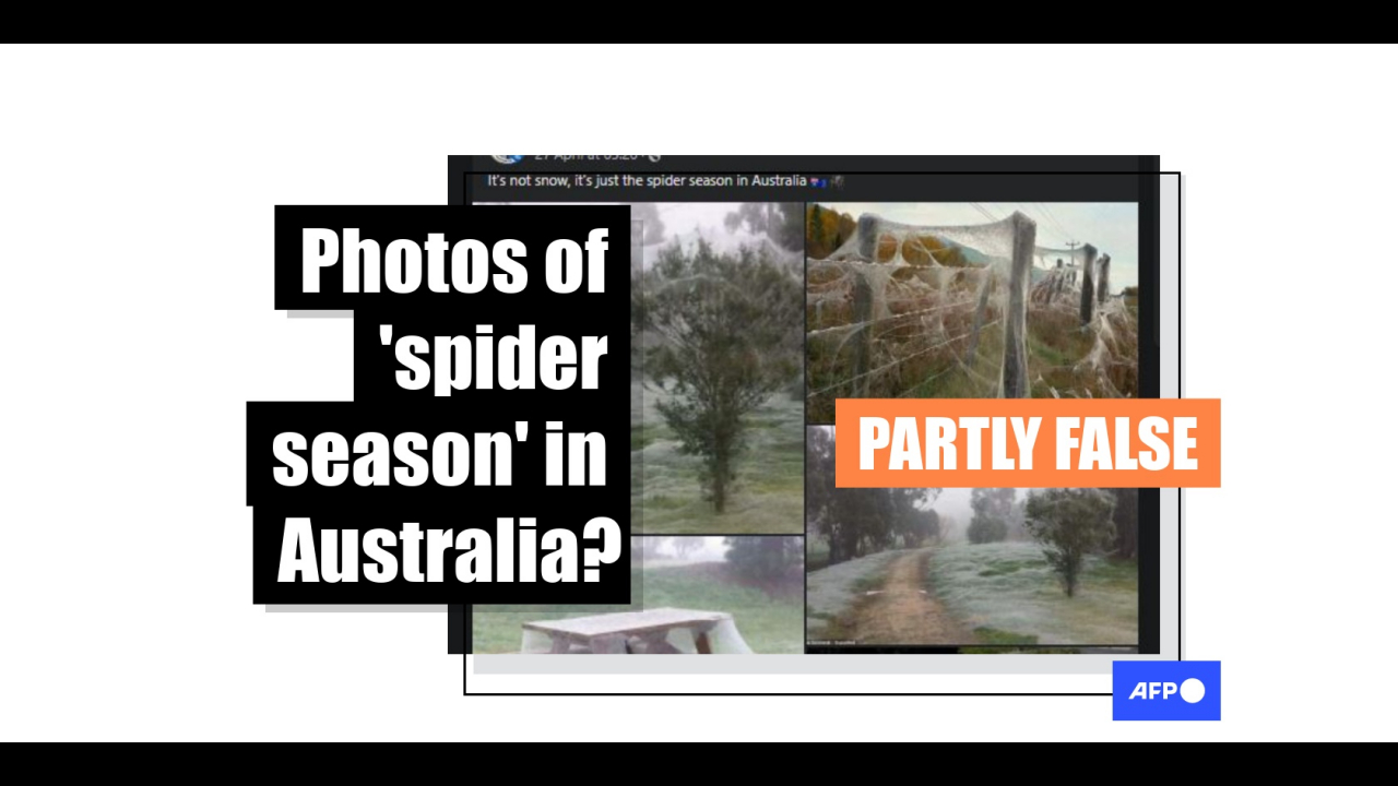 Images show spiderwebs around the world, not all found in